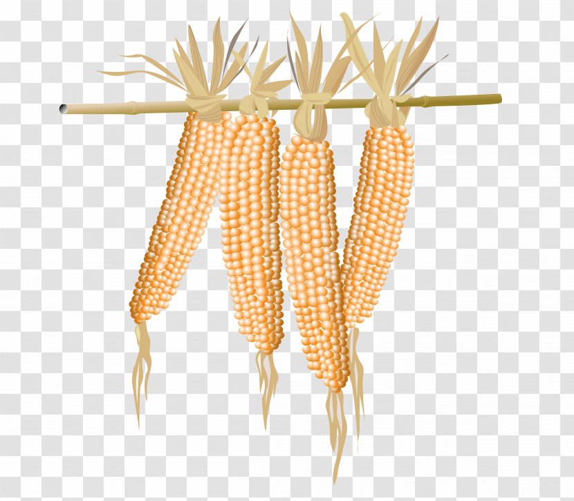 Popcorn Maize - Depositfiles - Cut Corn And Pole Transparent PNG