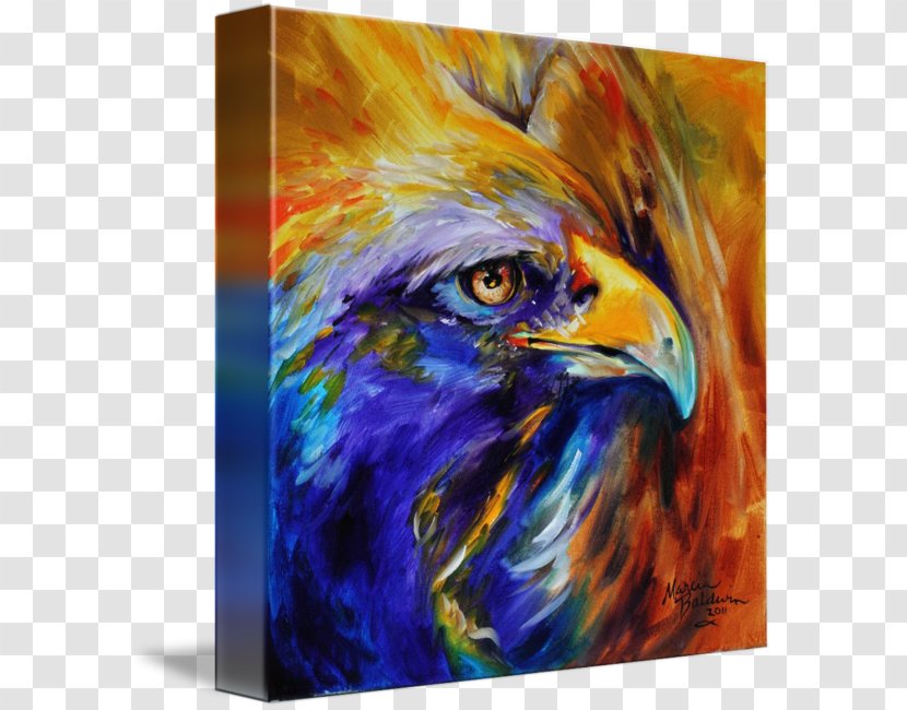 Bald Eagle Painting Abstract Art Transparent PNG