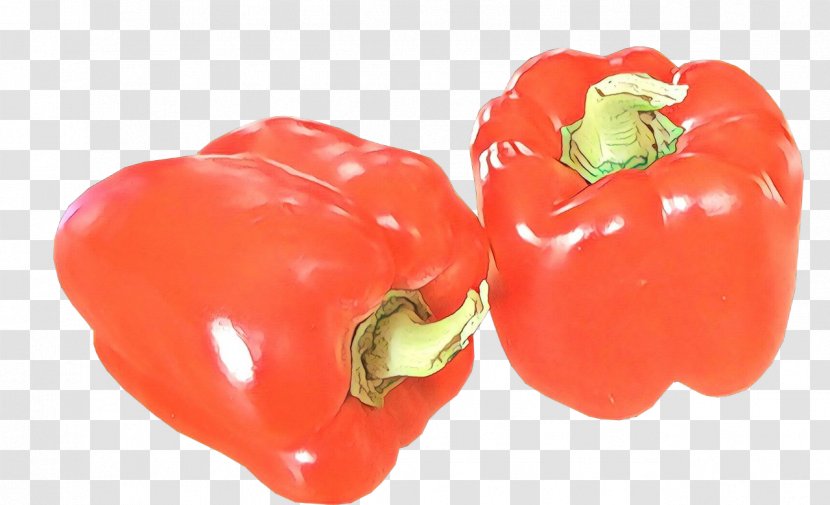 Vegetable Cartoon - Plant - Nightshade Family Ingredient Transparent PNG