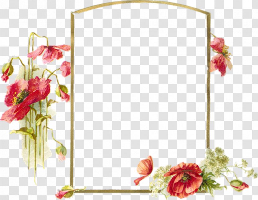 Photography Picture Frames Film Frame - Flower Bouquet - Us Canada Border Transparent PNG