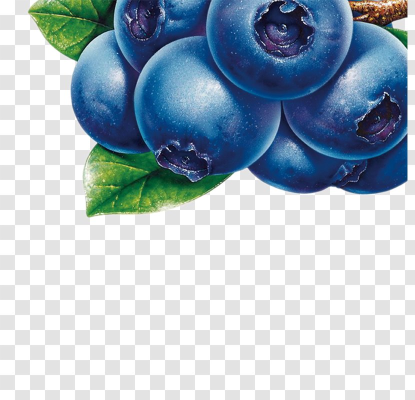 Blueberry Juice Bilberry Fruit Clip Art - Tea Transparent PNG