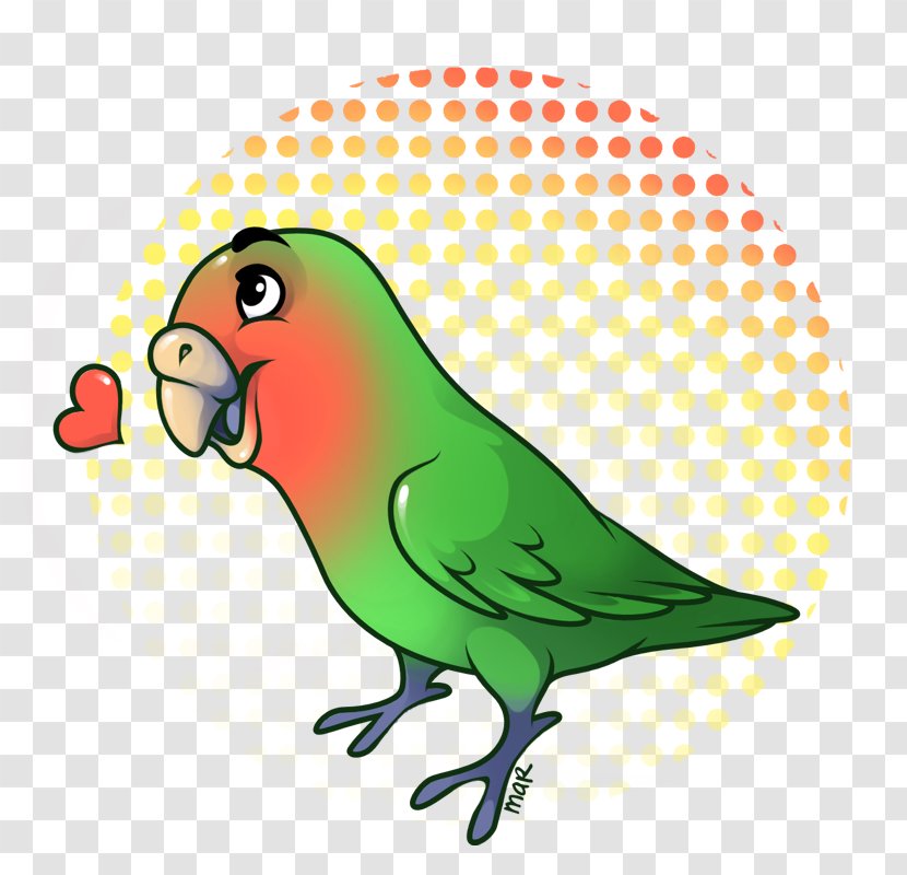 Parrot Budgerigar Lovebird Parakeet Macaw - Caged Bird Transparent PNG