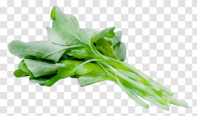 Spinach Smoothie Food Vegetable Feeding Bytes - Arugula - Choy Sum Transparent PNG