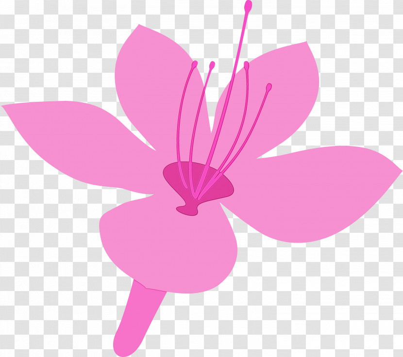 Pink Petal Flower Plant Magenta Transparent PNG