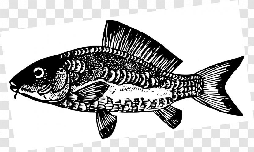 Fish Carp Black And White Clip Art Transparent PNG