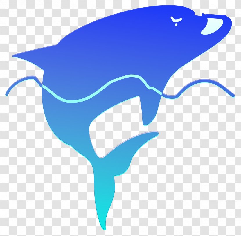 Dolphin - Wing - Illustrator Transparent PNG