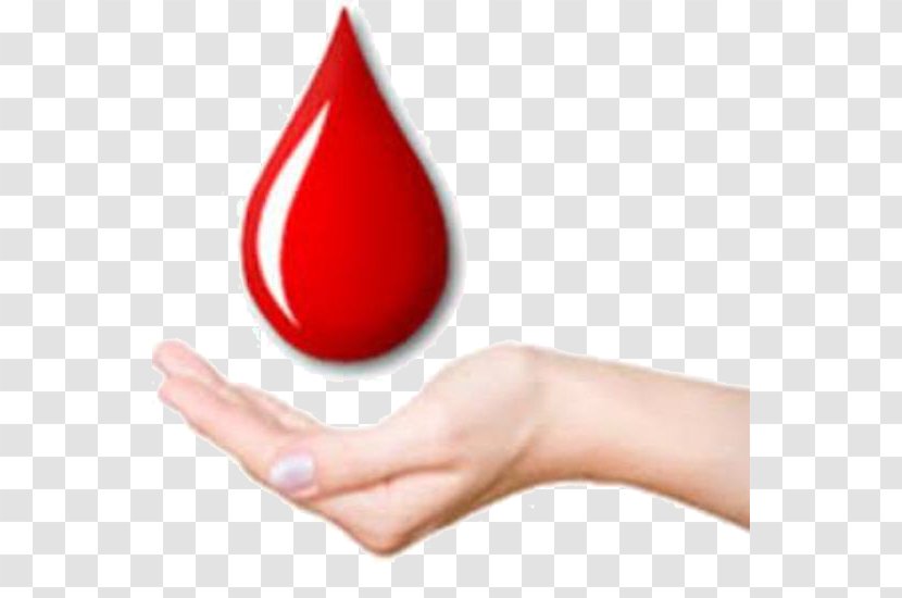 Blood Donation Bank World Donor Day - Health Care - Donors Transparent PNG