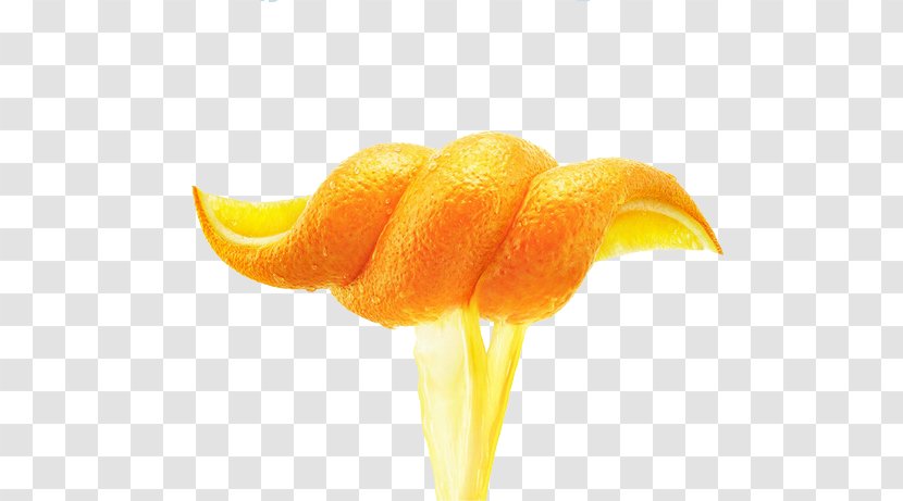 Orange Juice Smoothie Cocktail - Behance - Yellow Peel Transparent PNG