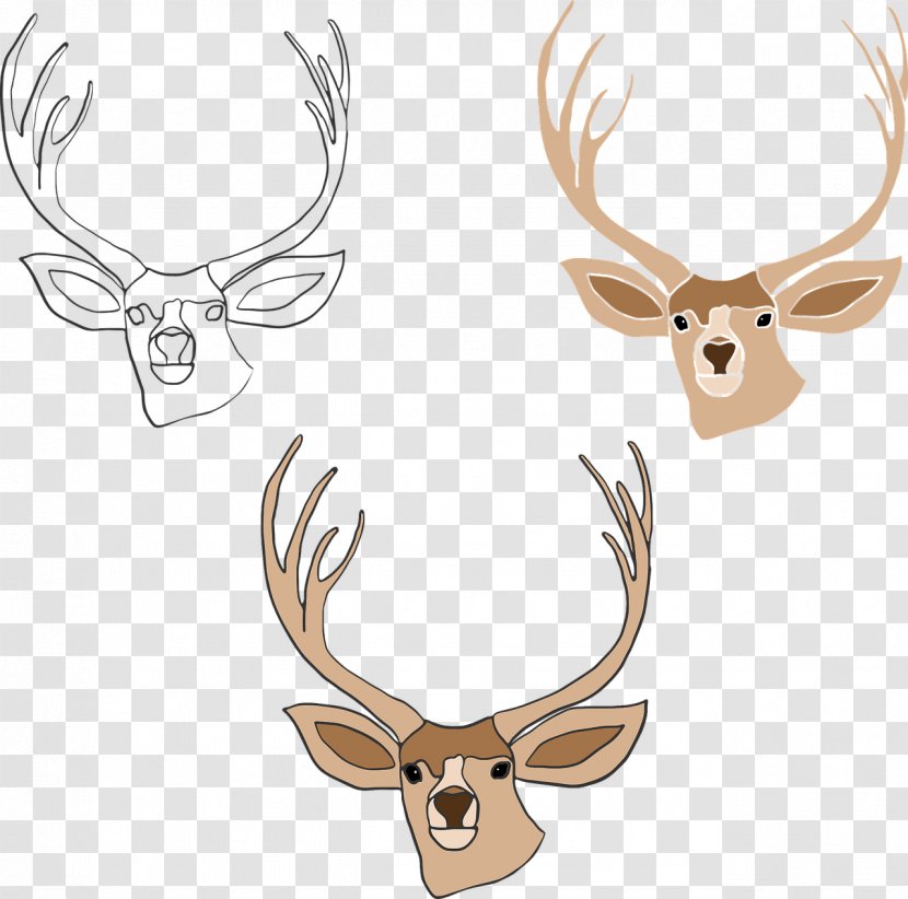 Elk Red Deer Reindeer Horn - Cervus Transparent PNG
