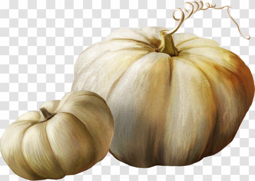 Gourd Winter Squash Pumpkin - Cucurbita Transparent PNG