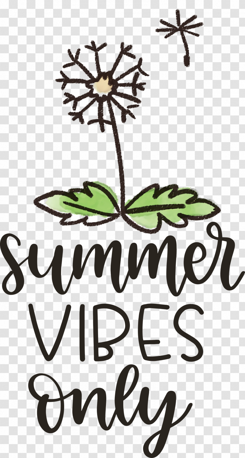 Summer Vibes Only Summer Transparent PNG