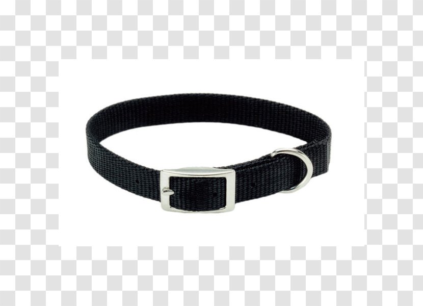 Dog Collar Belt Leash Choker - Buckle Transparent PNG