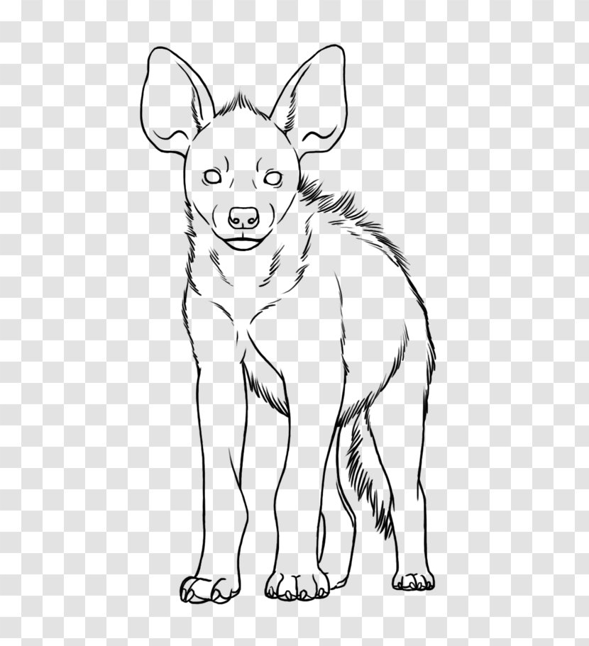Dog Breed Red Fox Line Art Snout - Tail Transparent PNG