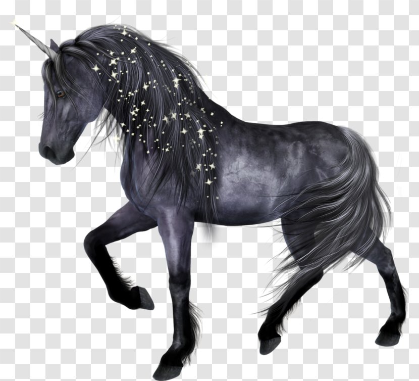 Horse Unicorn - Livestock - Beautiful Black Transparent PNG