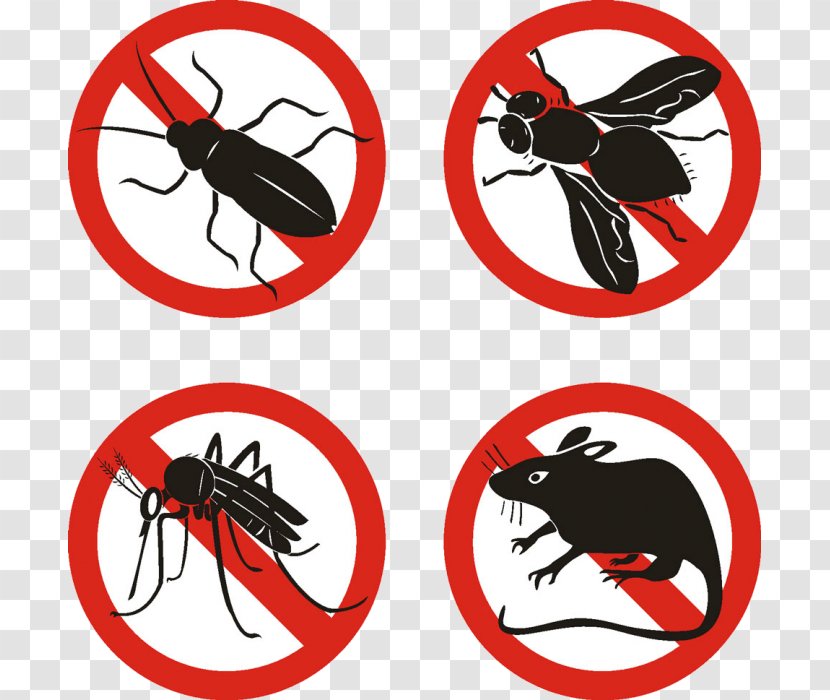 Pest Control Rat-catcher Mosquito Disinfectants Cleanliness - Invertebrate Transparent PNG