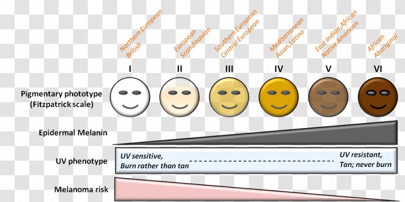 Fitzpatrick Scale Human Skin Color Von Luschan's Chromatic Fotoepilazione - Happiness - Brand Transparent PNG