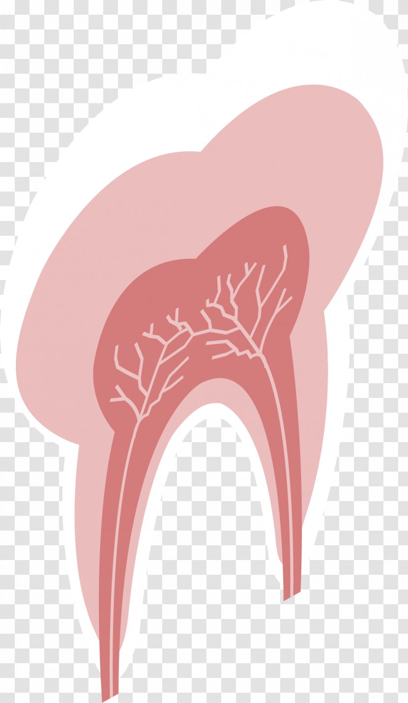 Shoulder Tooth Illustration - Heart - Red Teeth Transparent PNG