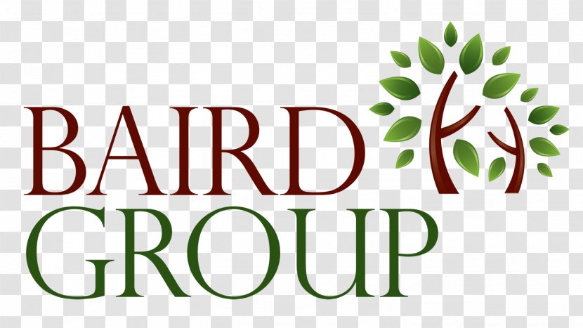 Baird Group Health Care Medicine Robert W. & Co. Mystery Shopping - Area Transparent PNG