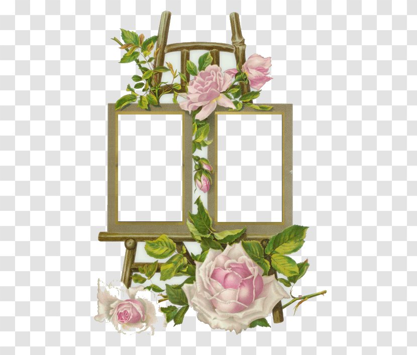 Picture Frames Floral Design Photography - Rose Order Transparent PNG