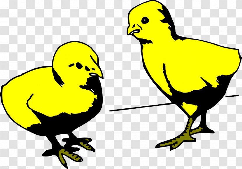 Chicken Black And White Clip Art - Yellow - Chick Transparent PNG