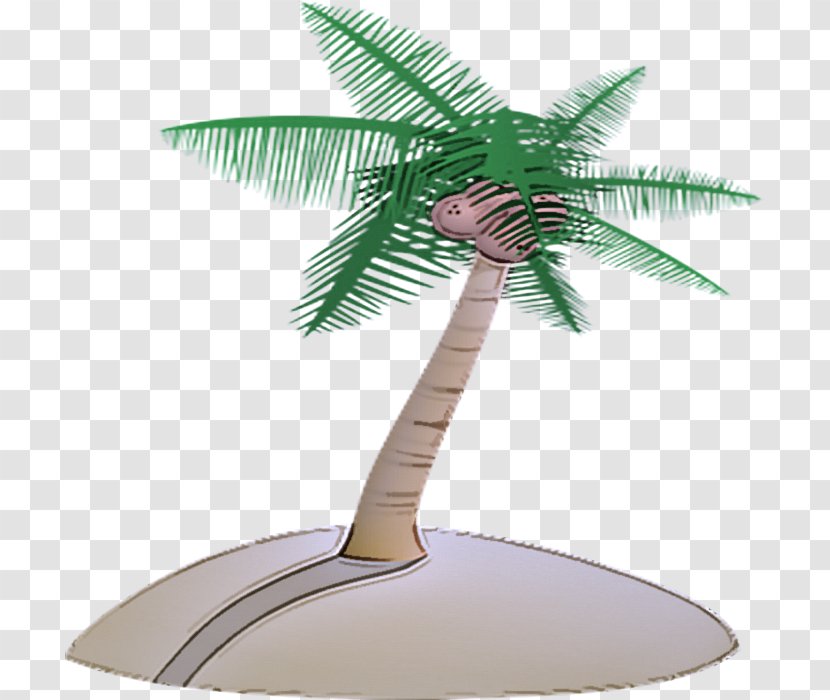 Palm Tree - Leaf Plant Transparent PNG