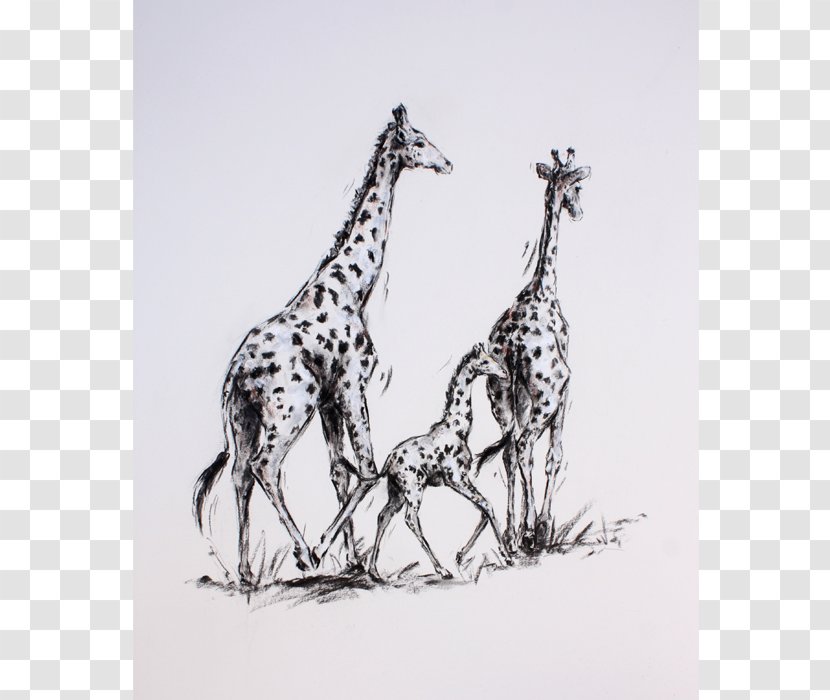 Drawing Printmaking Printing Art Paper - Papercutting - Giraffe Transparent PNG