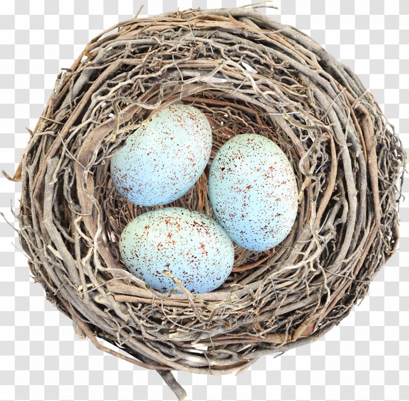 Egg Bird Nest Clip Art Transparent PNG