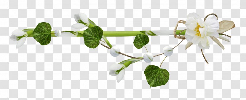 Spring Border - Twig - Daytime Transparent PNG