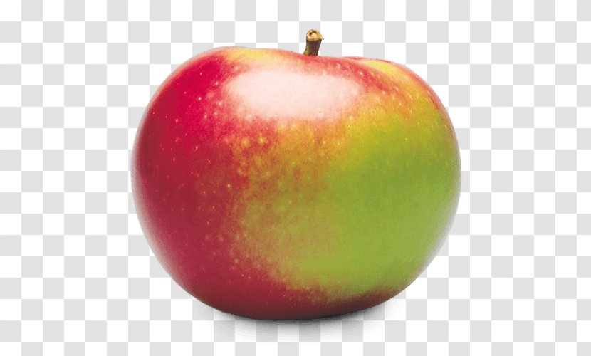 McIntosh Red Apple Cortland - Granny Smith Transparent PNG