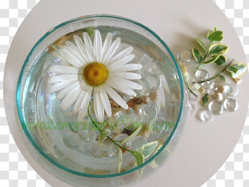 Plate Bowl Vase Flower - Glass Transparent PNG
