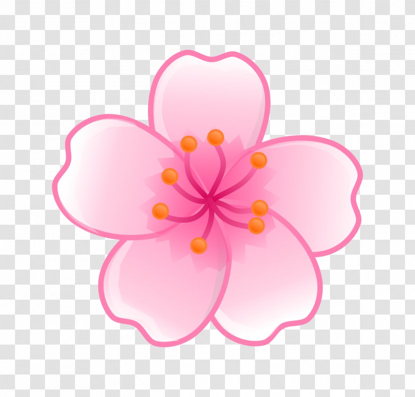 National Cherry Blossom Festival Clip Art - Pollinator - Flower Transparent PNG