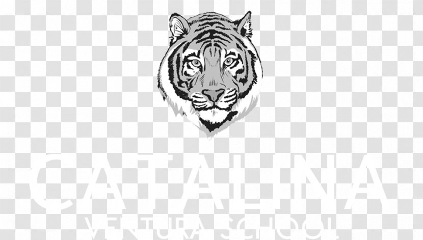 Bengal Tiger Logo Cat - Carnivoran Transparent PNG
