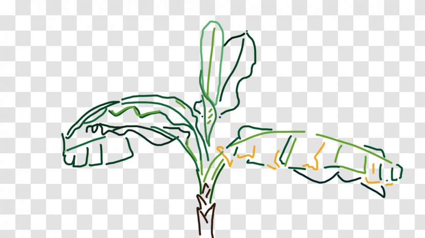 Leaf Email Plant Tree Clip Art - Frame - Lasso Transparent PNG