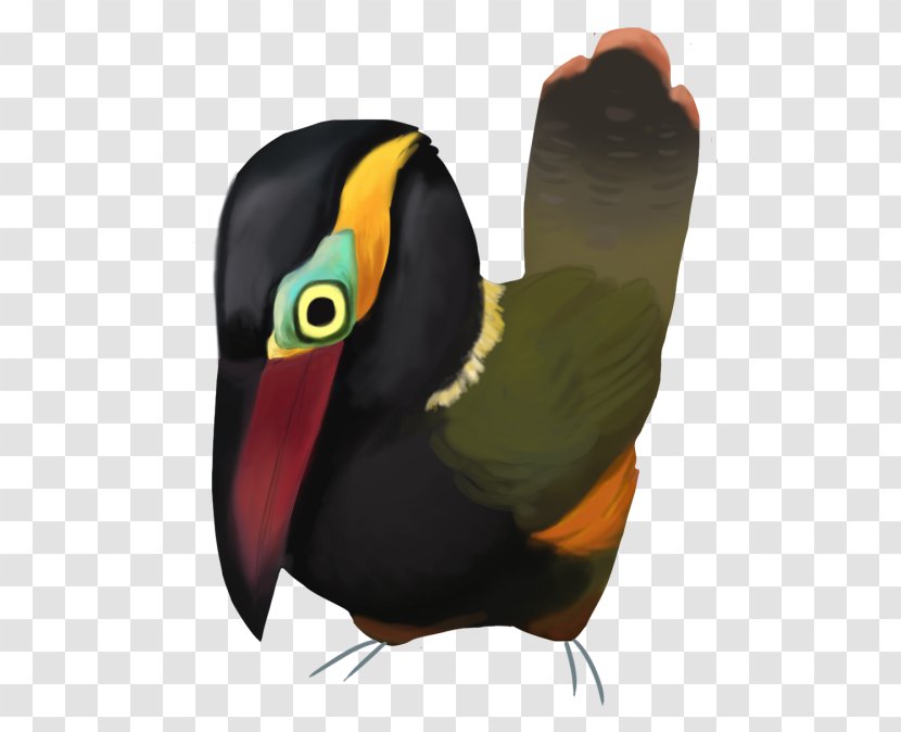 Toucan Water Bird Neck Beak Transparent PNG