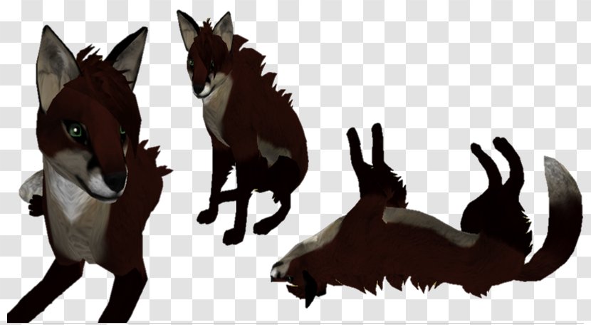 Canidae Mustang Donkey Dog Pack Animal - Carnivoran - Sale Three Dimensional Characters Transparent PNG