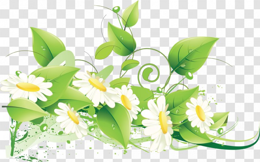 Flower Floral Design Clip Art - Camomile Transparent PNG