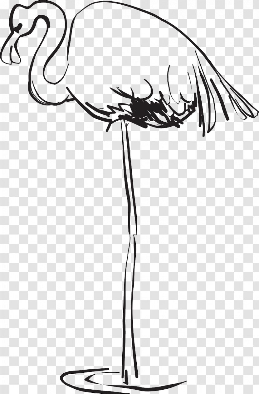 Bird Greater Flamingo Beak Clip Art Transparent PNG