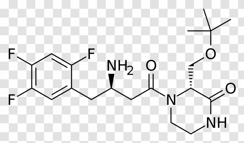 Riboflavin Oxamniquine Dipeptidyl Peptidase-4 Inhibitor Pharmaceutical Drug Chemistry - Black And White Transparent PNG