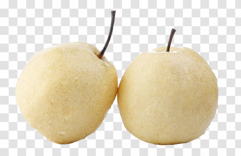 Asian Pear - Food - Two Pears Transparent PNG