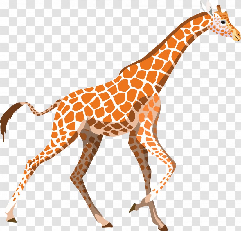 Northern Giraffe Cuteness T-shirt Leopard Baby - Other - Giraffes Transparent PNG