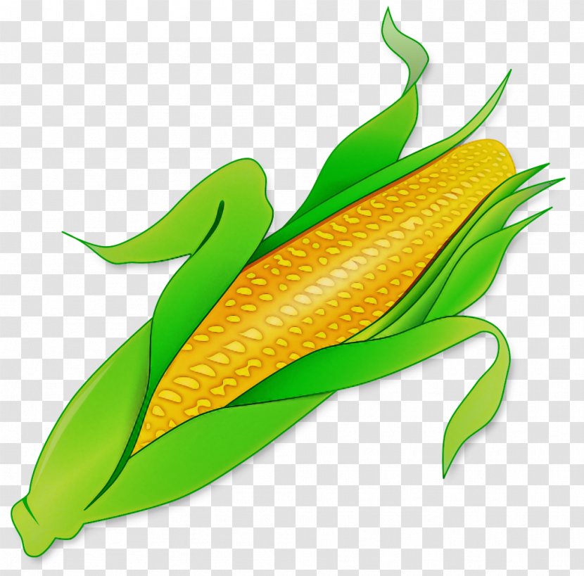 Leaf Vegetarian Food Corn On The Cob Plant - Anthurium Vegetable Transparent PNG