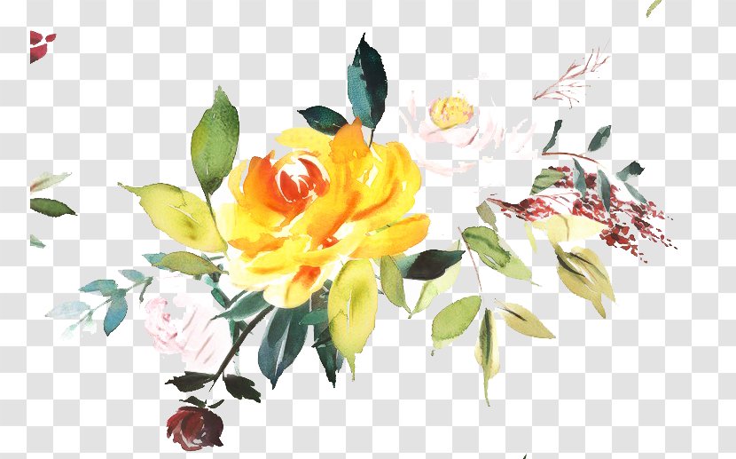 Clip Art Watercolor Painting Design Vector Graphics - Flower - Rose Family Transparent PNG