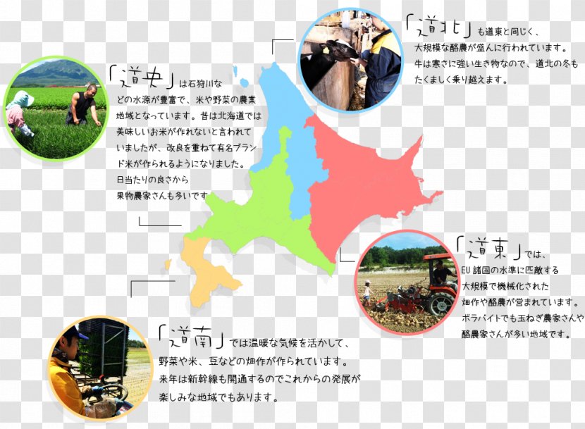 Obihiro Tokachi Subprefecture District, Hokkaido Agriculture ボラバイト - Special Topic Transparent PNG