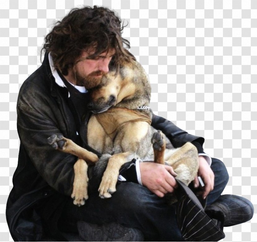 Dog Homelessness Unconditional Love Photography - Breed Group Transparent PNG