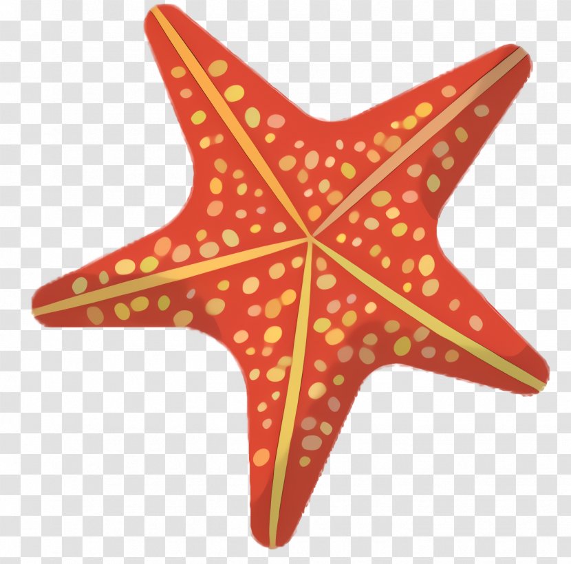 Cartoon Star - Starfish Transparent PNG