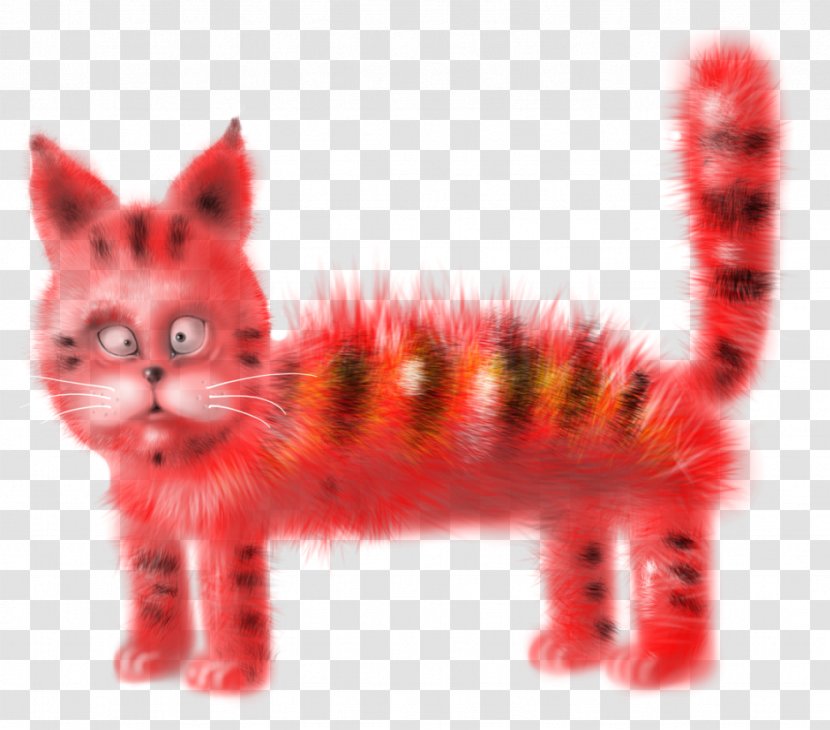Whiskers Kitten Tabby Cat Snout Transparent PNG