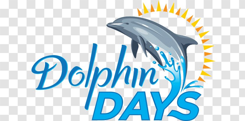 Dolphin Days SeaWorld Orlando San Diego Universal - Bottlenose - Park Attraction Transparent PNG