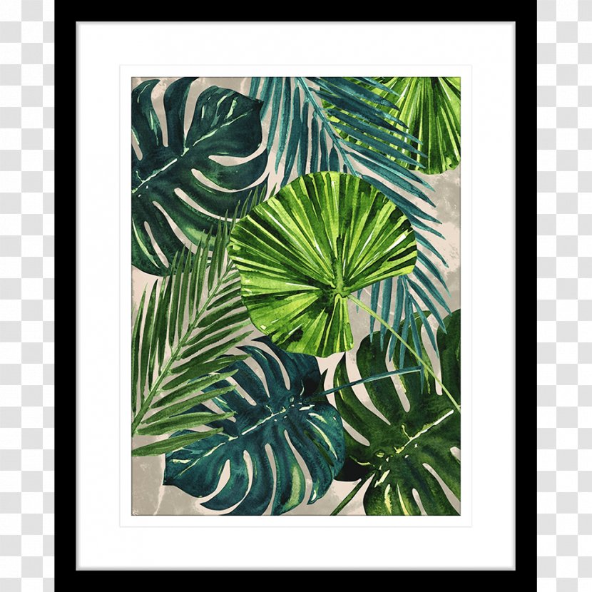 Flora Picture Frames Leaf Plant Pattern - Printing - Monstera Transparent PNG