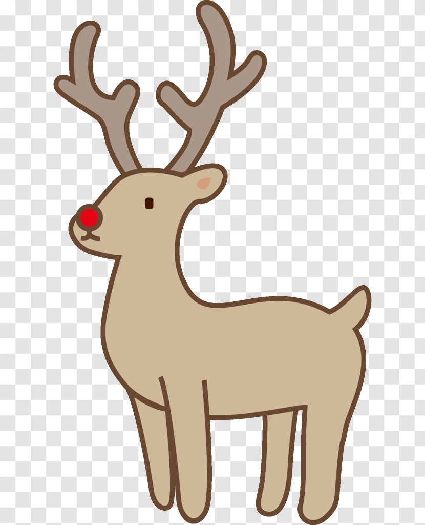 Reindeer - Wildlife - Tail Fawn Transparent PNG