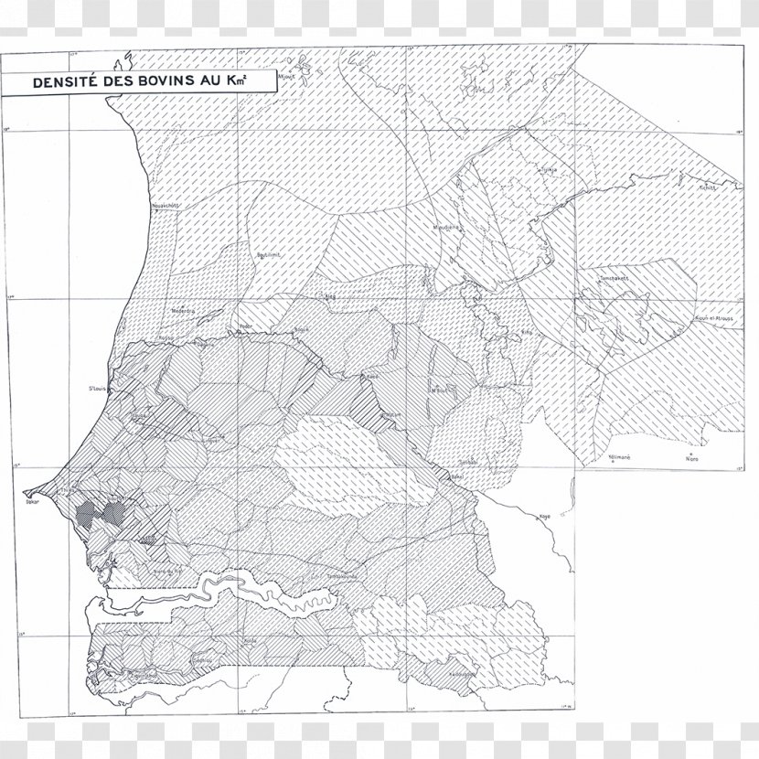 Line Map Sketch - Black And White Transparent PNG